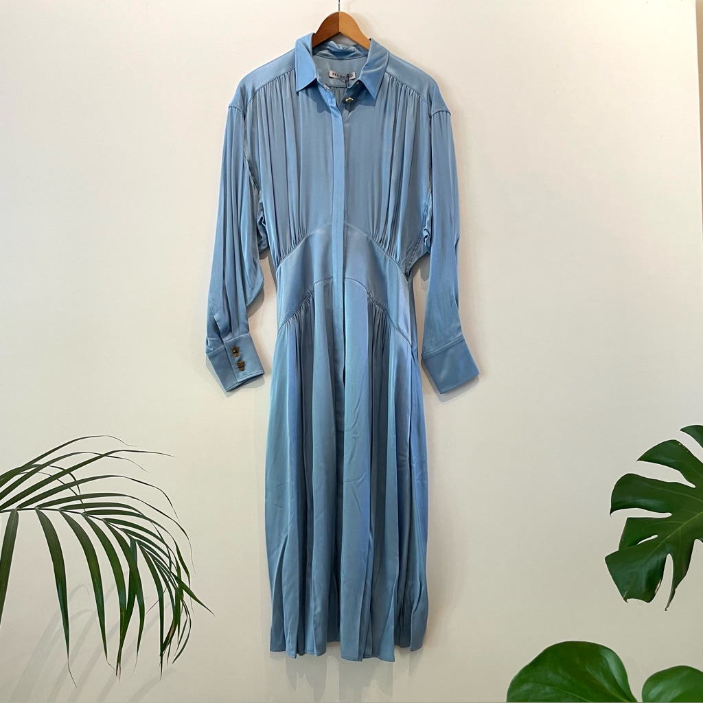 Rejina Pyo Light Blue Long Sleeve Button-Front Midi Dress
